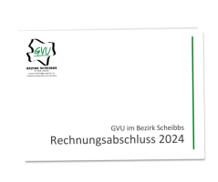 Voransicht der ersten Seite des Rechnungsabschlusses 2024