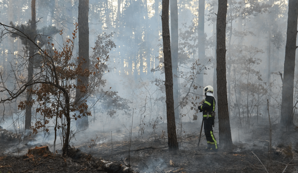 Wald mit Rauchentwicklung und Feuerwehrmann im Einsatz